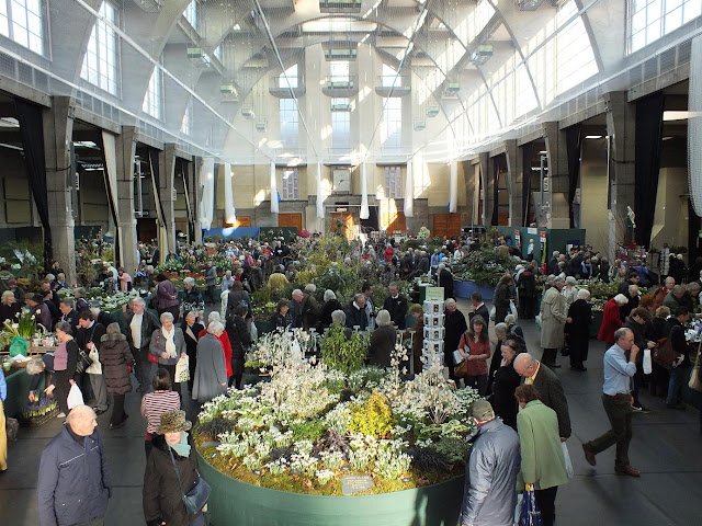 RHS London Plant and Design Show 2013