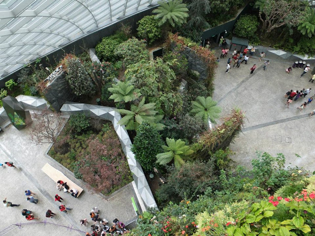 Gardens by the Bay Singapore - Cloud Forest
