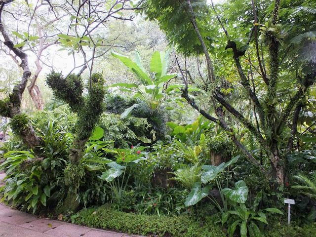 Singapore Botanic Gardens