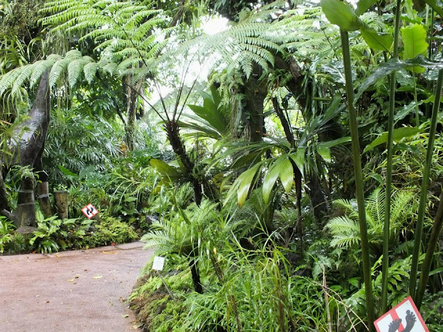 Singapore Botanic Gardens