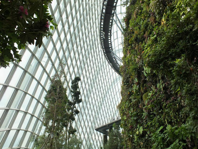 Gardens by the Bay Singapore - Cloud Forest