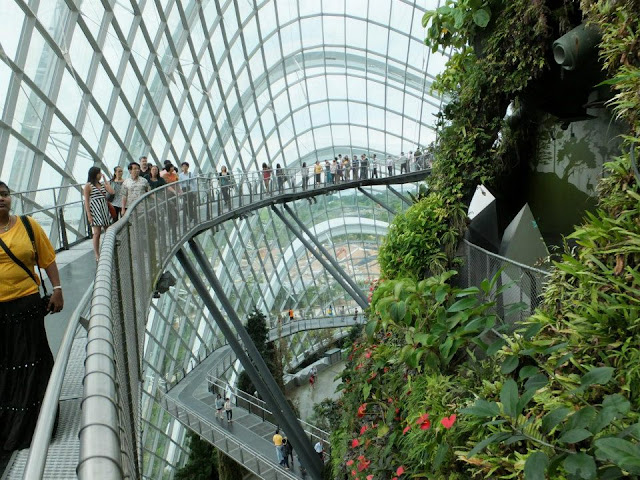 Gardens by the Bay Singapore - Cloud Forest