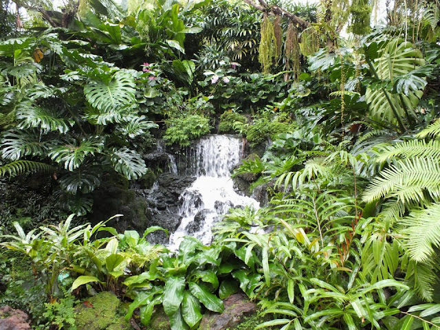 Waterfall at Singapore Botanic Gardens