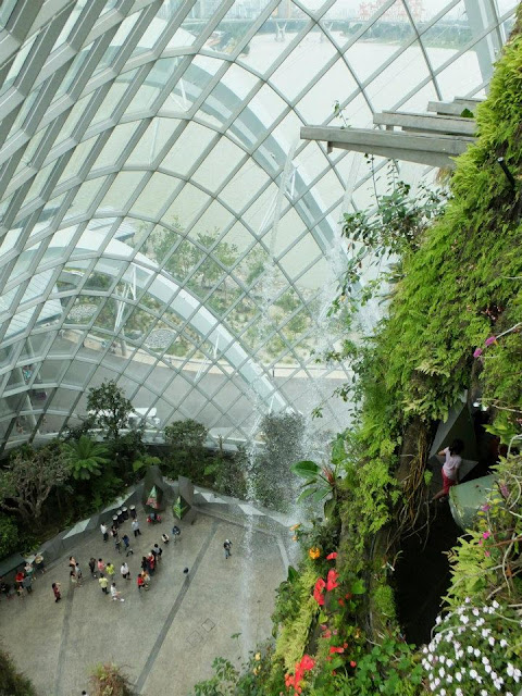 Gardens by the Bay Singapore - Cloud Forest