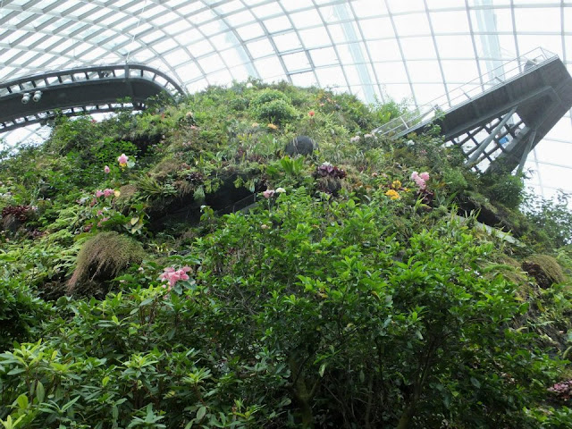 Gardens by the Bay Singapore - Cloud Forest