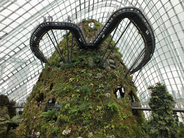 Gardens by the Bay Singapore - Cloud Forest