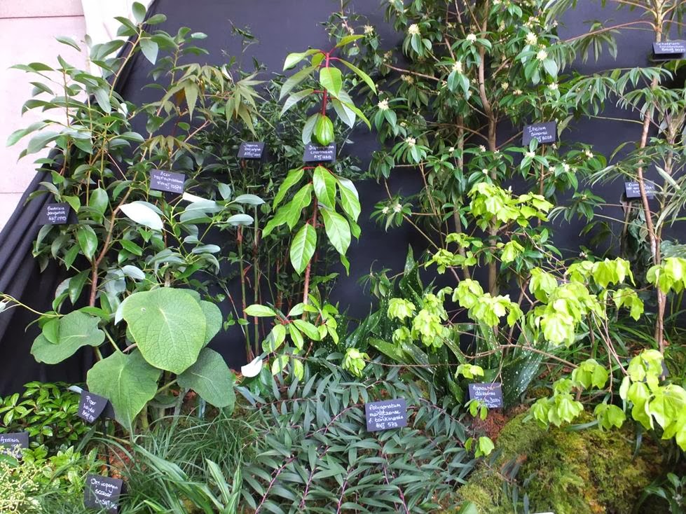 Crug Farm Plants Crug Farm Plants