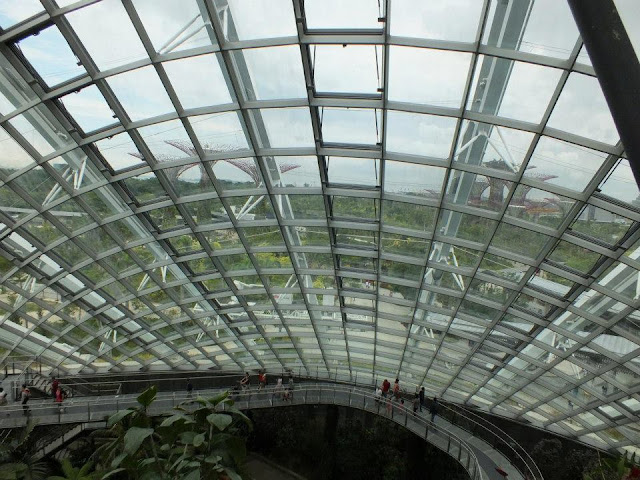 Gardens by the Bay Singapore - Cloud Forest