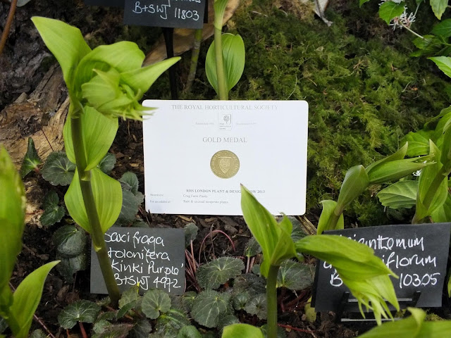 Crug Farm Gold Medal at RHS London Plant and Design Show 2013