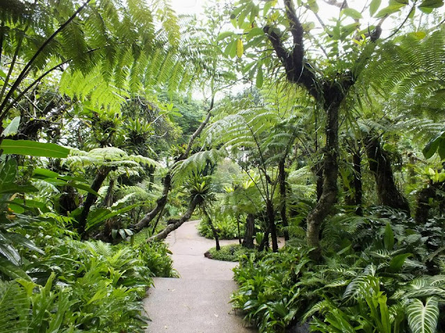 Singapore Botanic Gardens