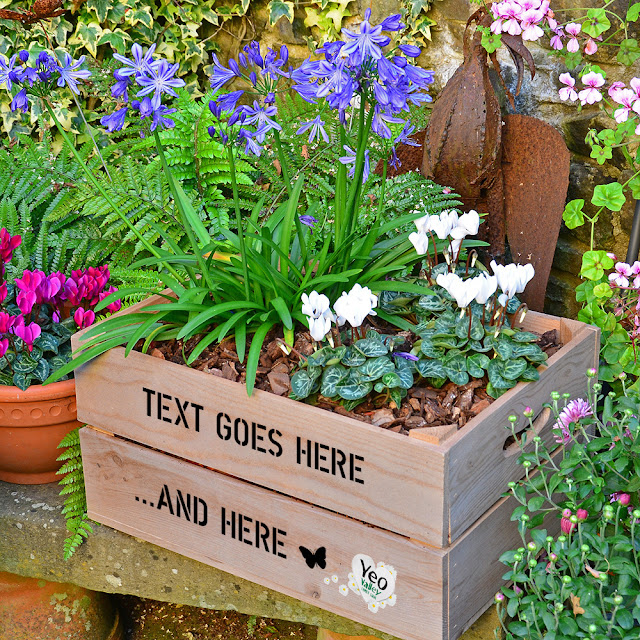 Plantabox Plantabox from Yeo Valley Competition