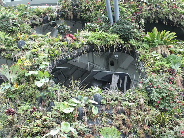 Gardens by the Bay Singapore - Cloud Forest