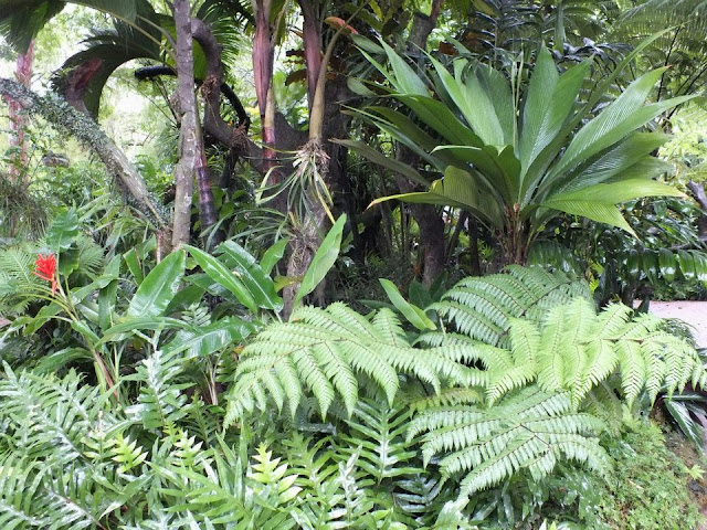 Singapore Botanic Gardens