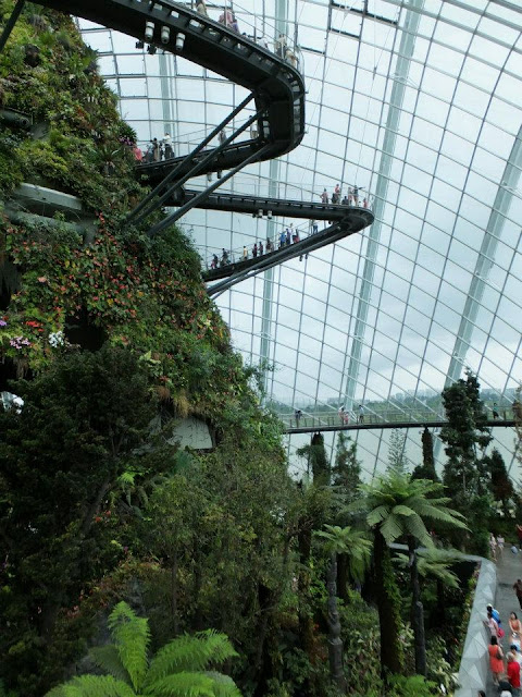 Gardens by the Bay Singapore - Cloud Forest